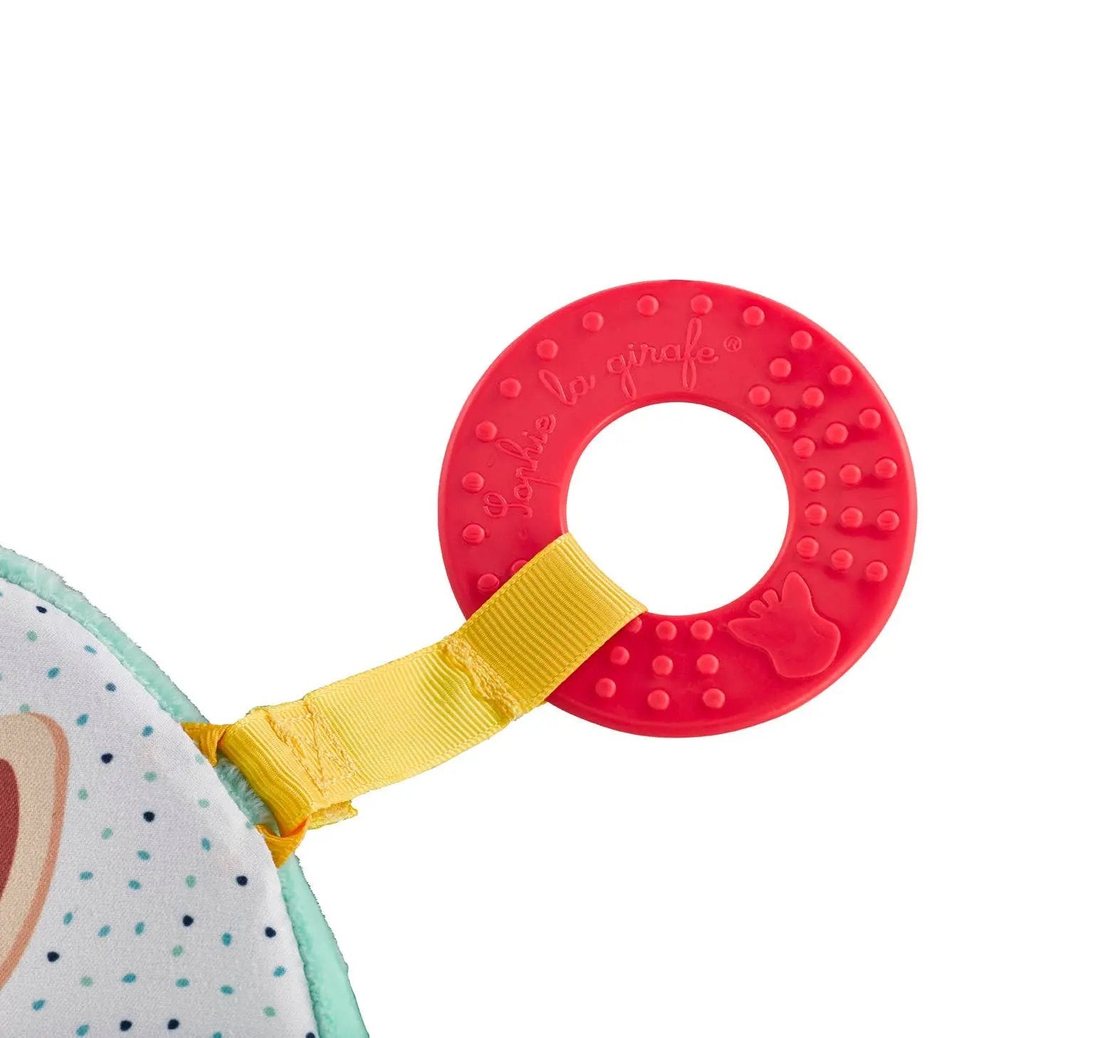 Showing the modular design and sensory activities.