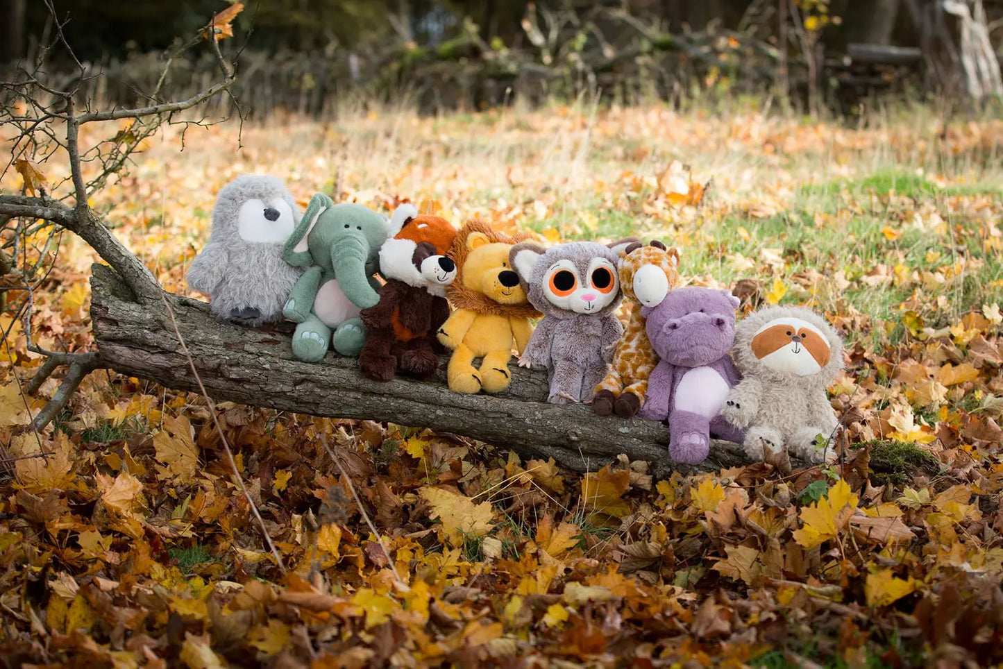 Plush toys arranged on a log in an outdoor setting with fallen leaves
