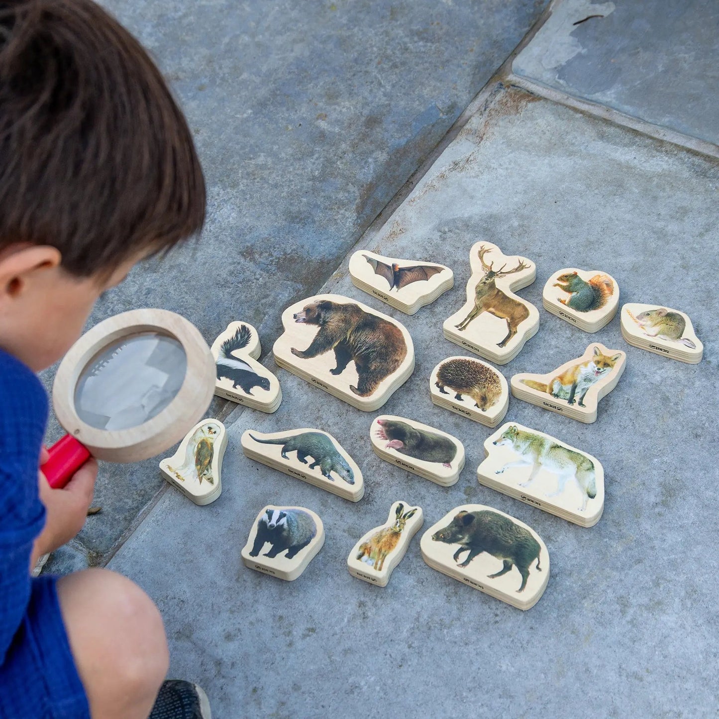 Child playing with animal-themed wooden stamps and a magnifying glass on a concrete surface.