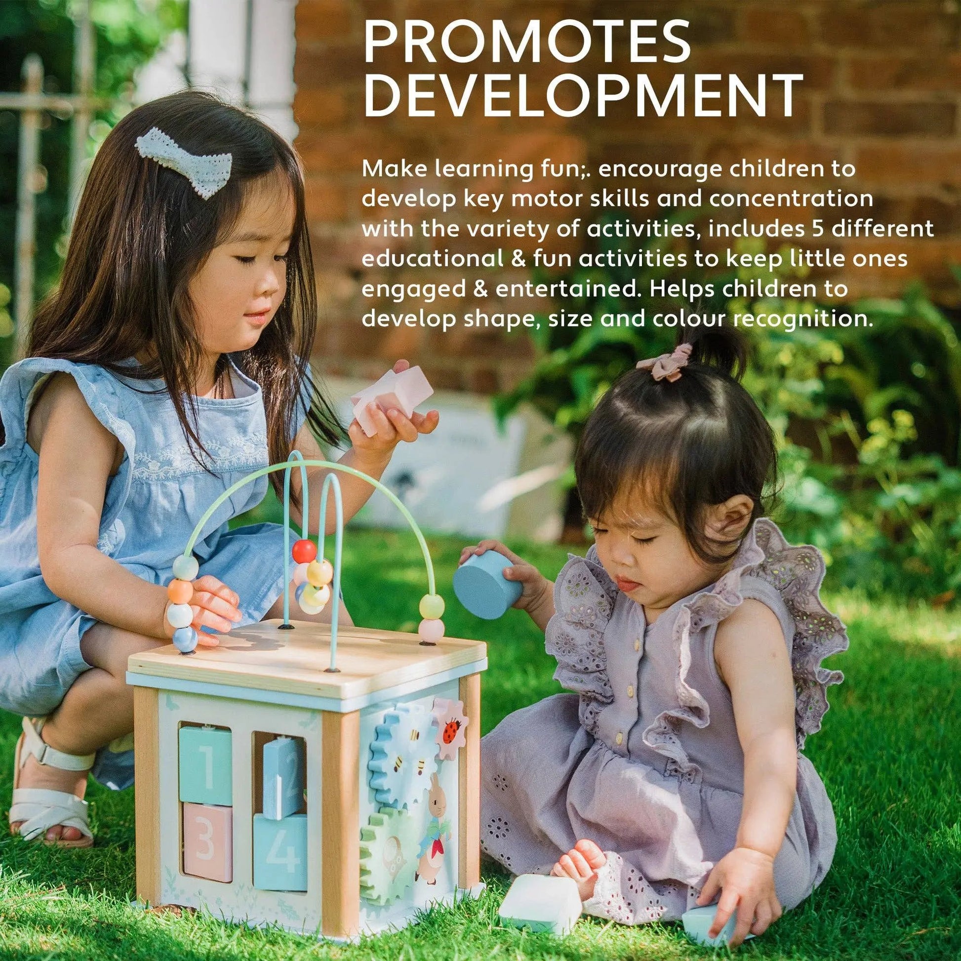 Peter Rabbit Wooden Activity Cube - For The Baby