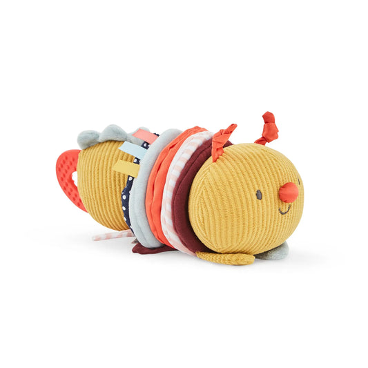 Toy caterpillar with a white background