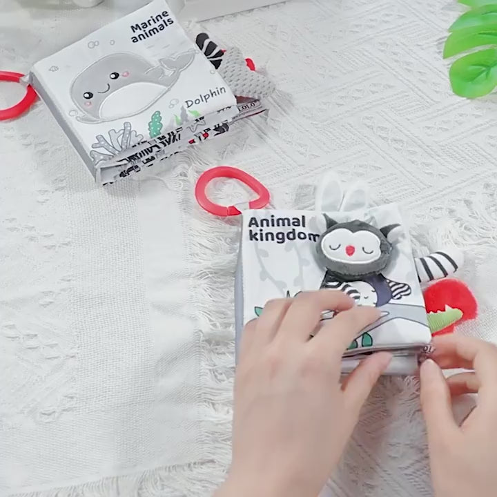 Black and white baby books