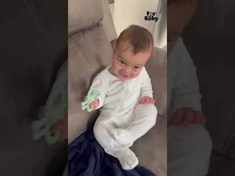 Baby playing with cavapoo teether