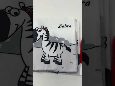 Animal Kingdom Book video