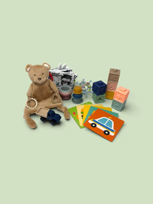 Toy selection for 6 month old babies