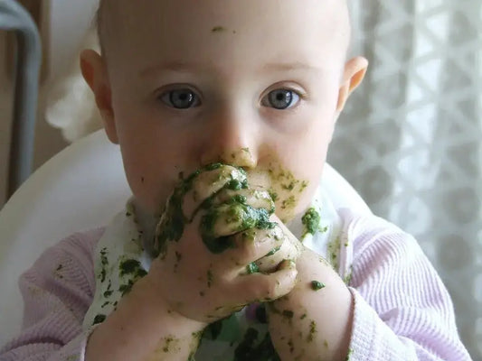 Signs-Your-Baby-Is-Ready-for-Weaning-And-What-You-ll-Need For The Baby