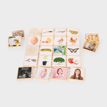 Set of educational tiles with various images on a white background