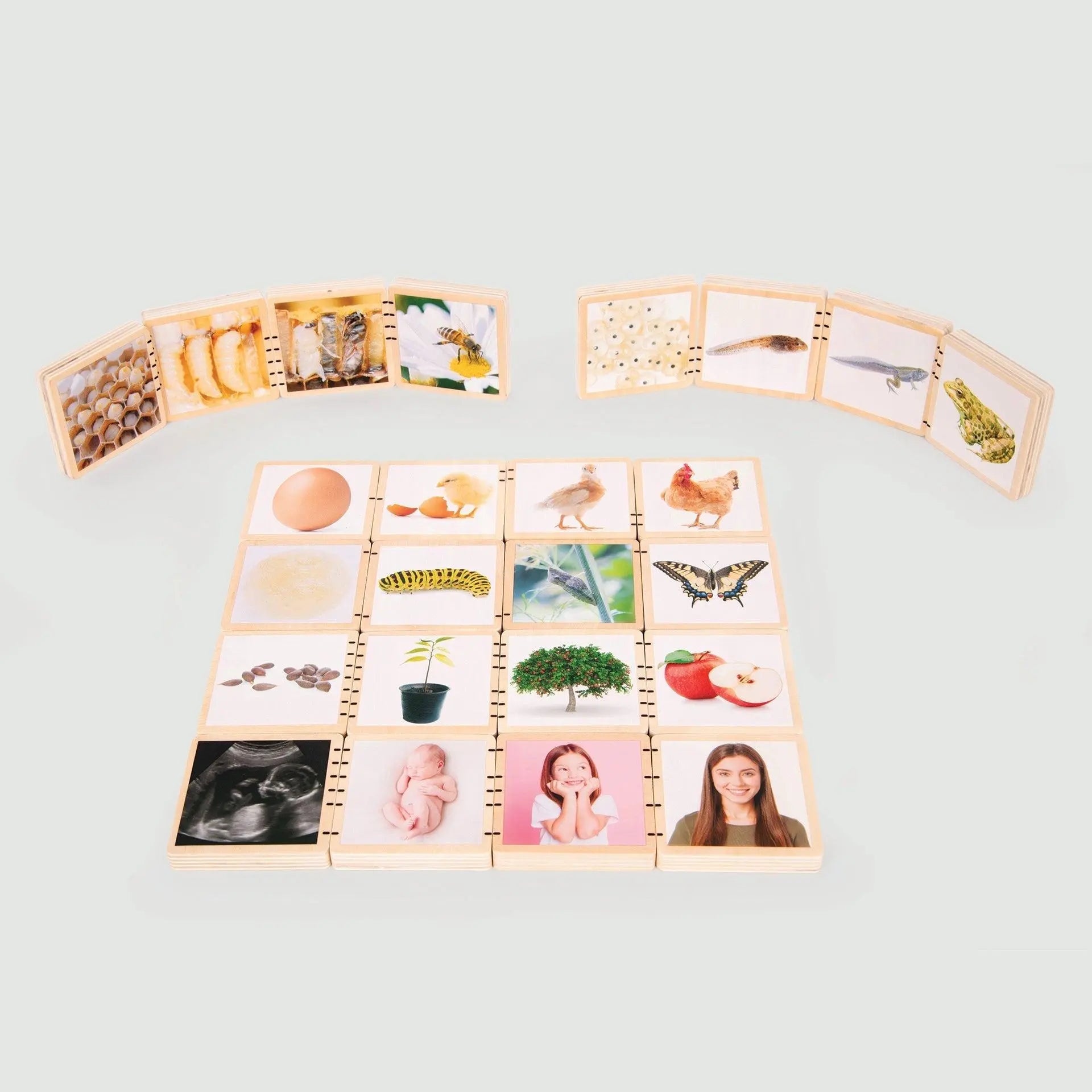 Set of educational tiles with various images on a light grey background