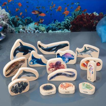 Set of marine-themed wooden tiles with various sea creatures on a blue surface.