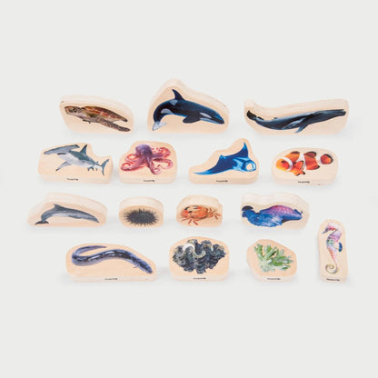 Set of wooden stamps with various sea creature designs on a white background