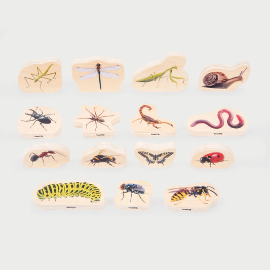 Set of cards with illustrations of various insects on a light grey background