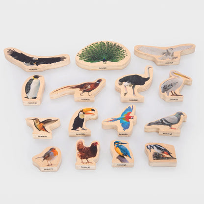 Set of wooden animal figurines with labels on a white background
