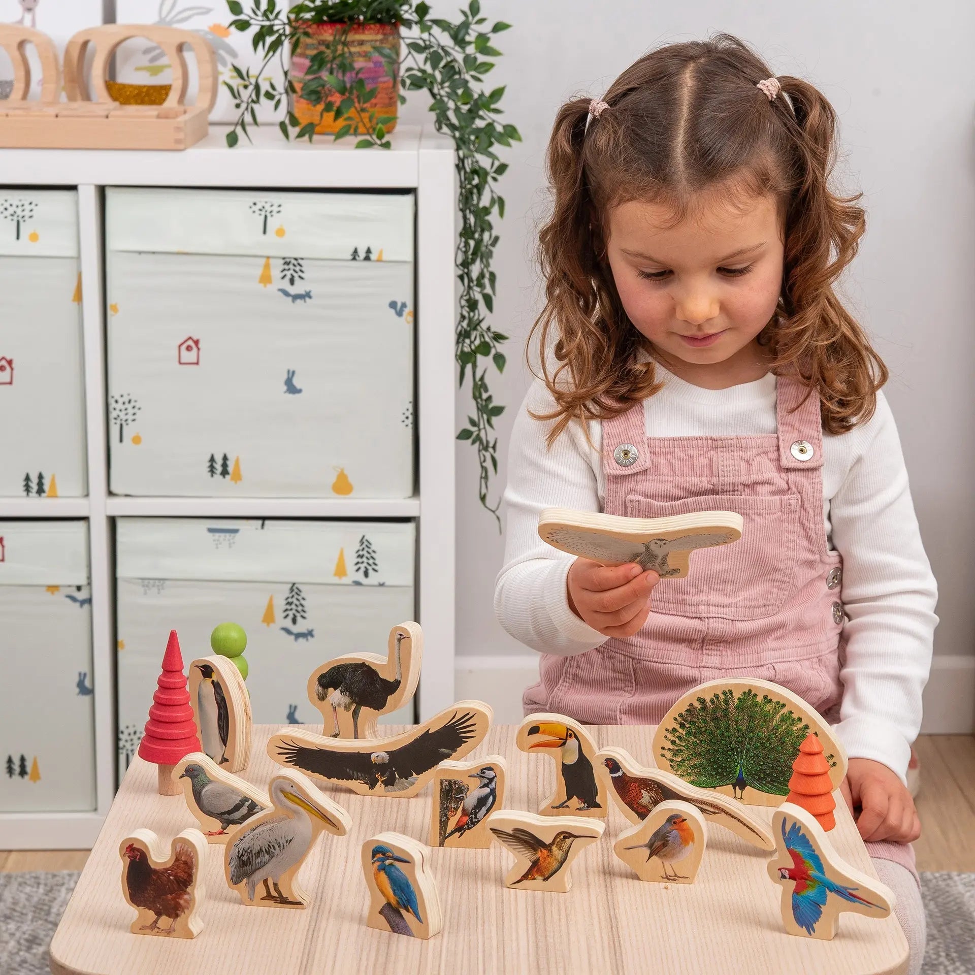 Wooden Bird Blocks | For The Baby