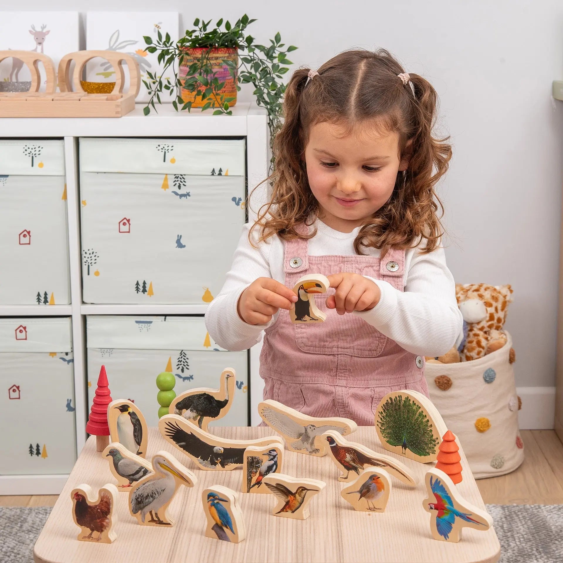 Wooden Bird Blocks | For The Baby