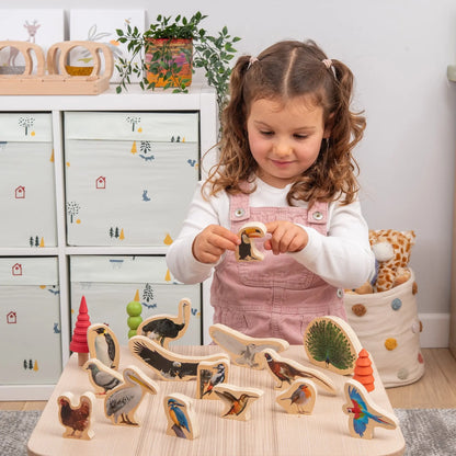 Wooden Bird Blocks | For The Baby