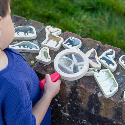 Child playing with animal-themed stamps and a magnifying glass on a stone surface outdoors.