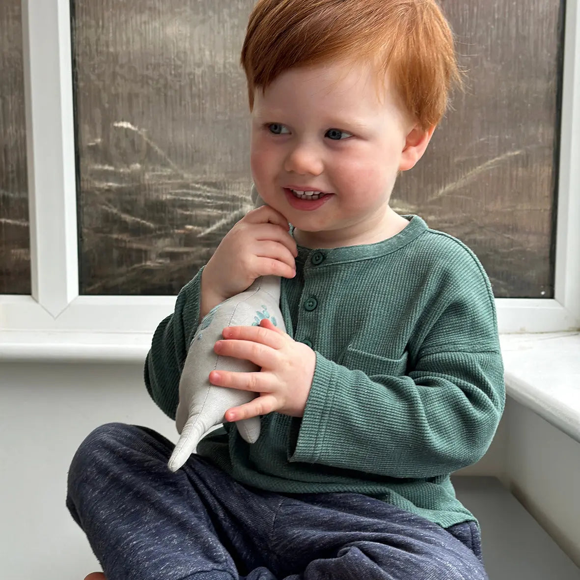 Child holding a toy in front of a window