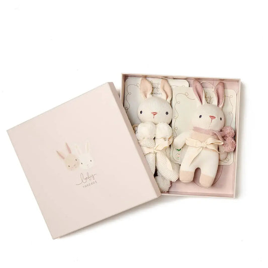 Two plush rabbit toys in a decorative box.