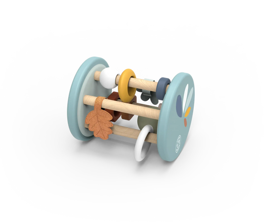 Wooden toy with colourful wheels and leaf-shaped object on a white background