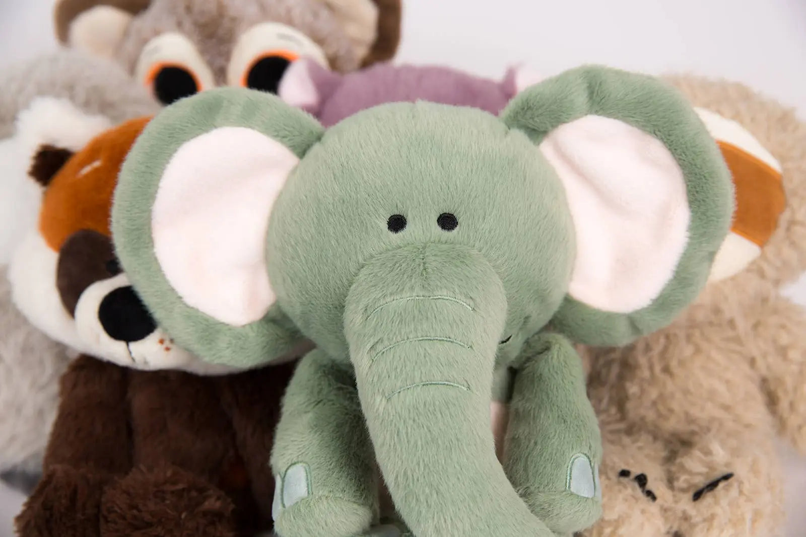 Plush toys including an elephant, raccoon, and bear on a white background
