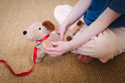 Child holding a cute dog with a red ribbon on a carpeted floor