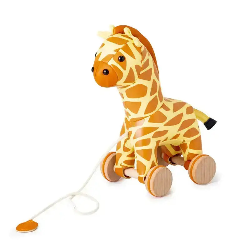 Wooden giraffe pull toy with a string on a white background