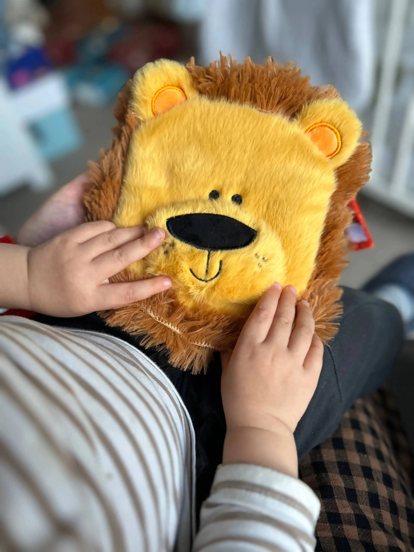 Child holding a lion-shaped plush toy book with a blurred indoor background