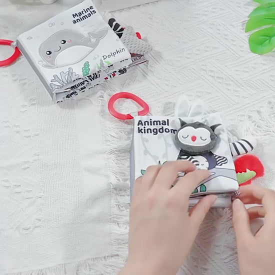 Black and white baby books