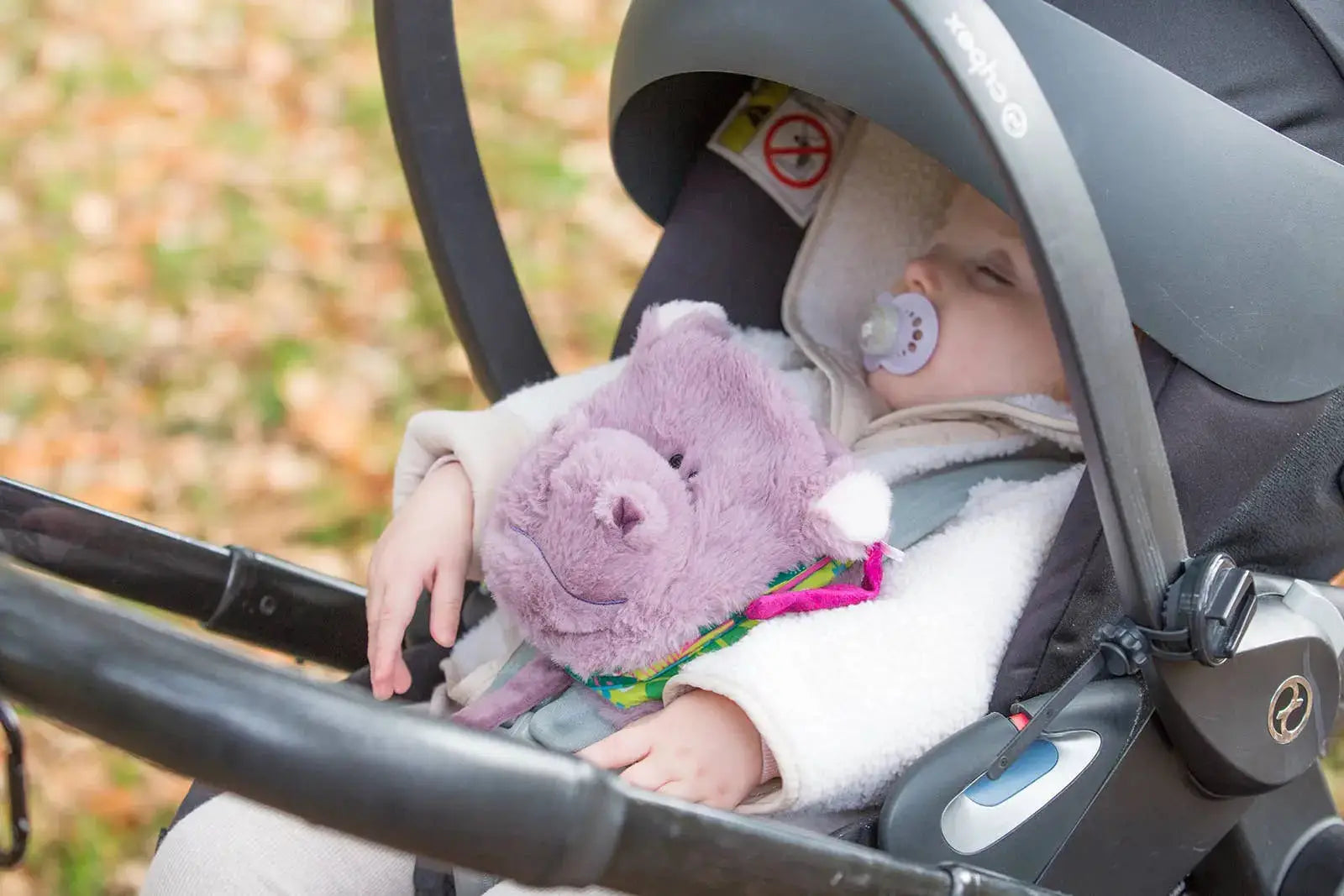 Child in a buggy holding a purple pygmy hippo book with a blurred outdoor background