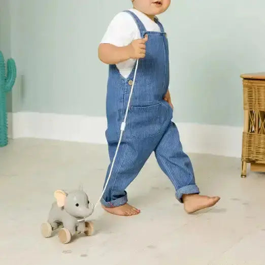 Child in blue overalls holding a toy elephant in a room with a light green wall and wooden furniture.