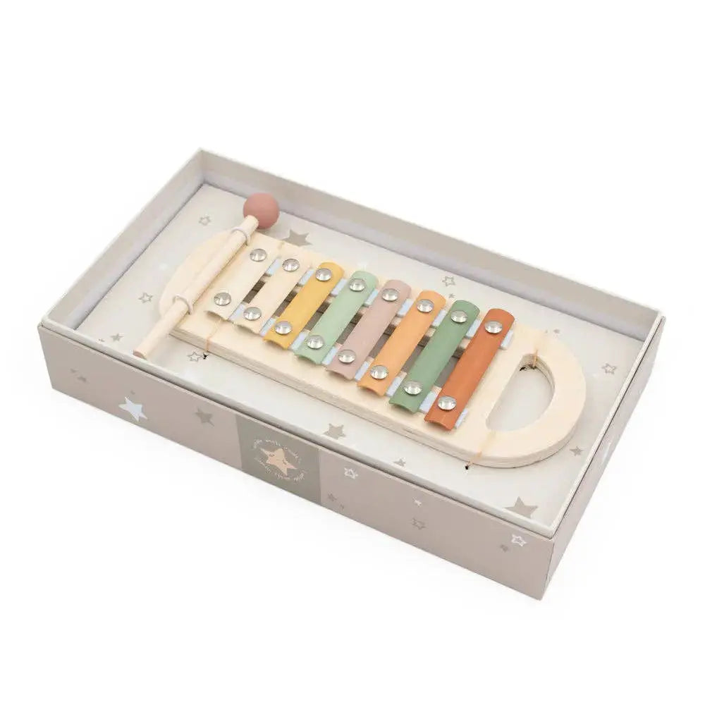 Wooden xylophone toy in a box on a white background