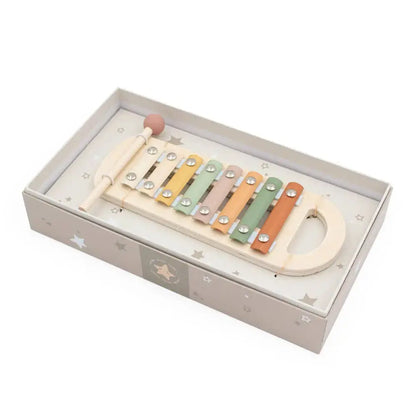 Wooden xylophone toy in a box on a white background