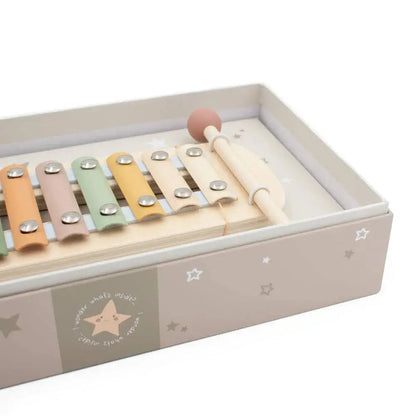 Wooden toy xylophone with colourful keys in a box on a white background